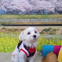 画像10025