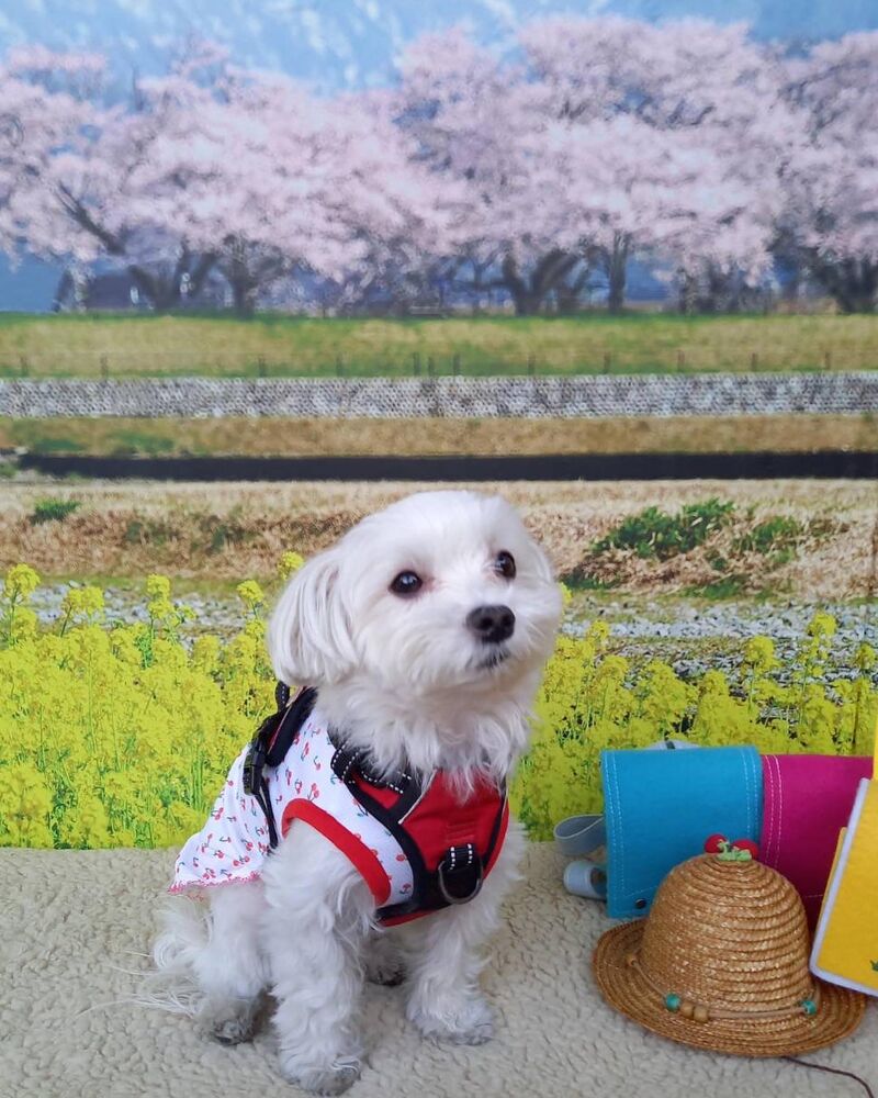 画像10025