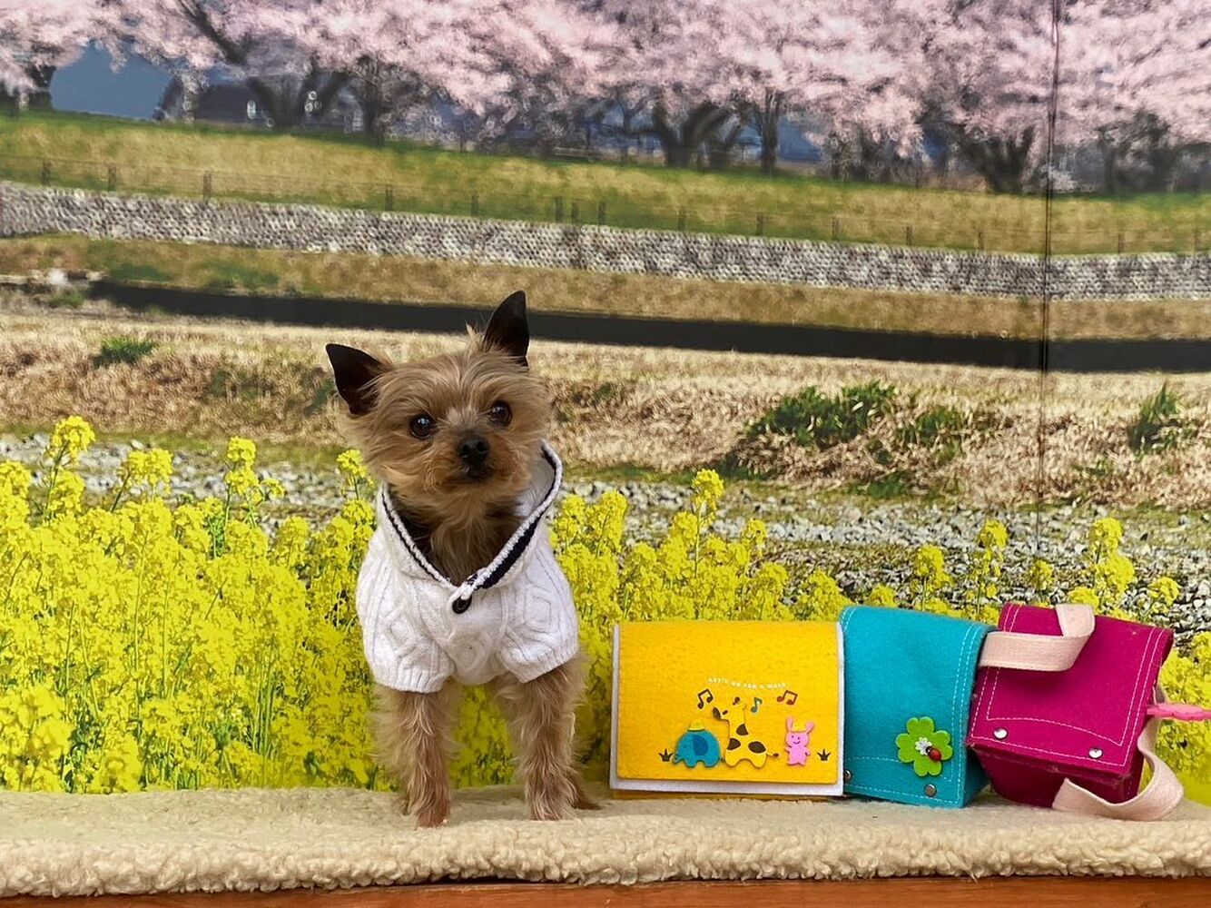 画像10055