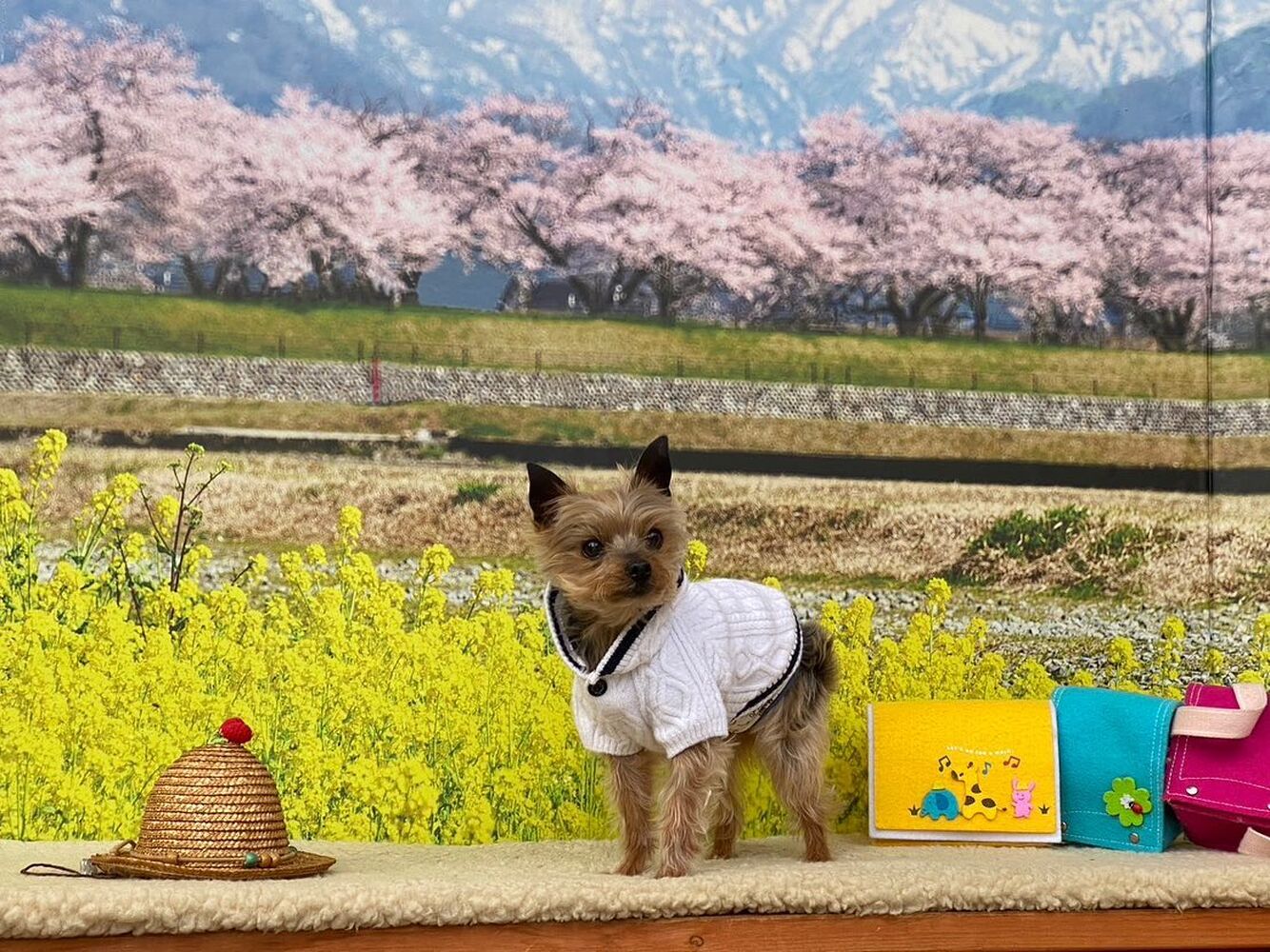 画像10056