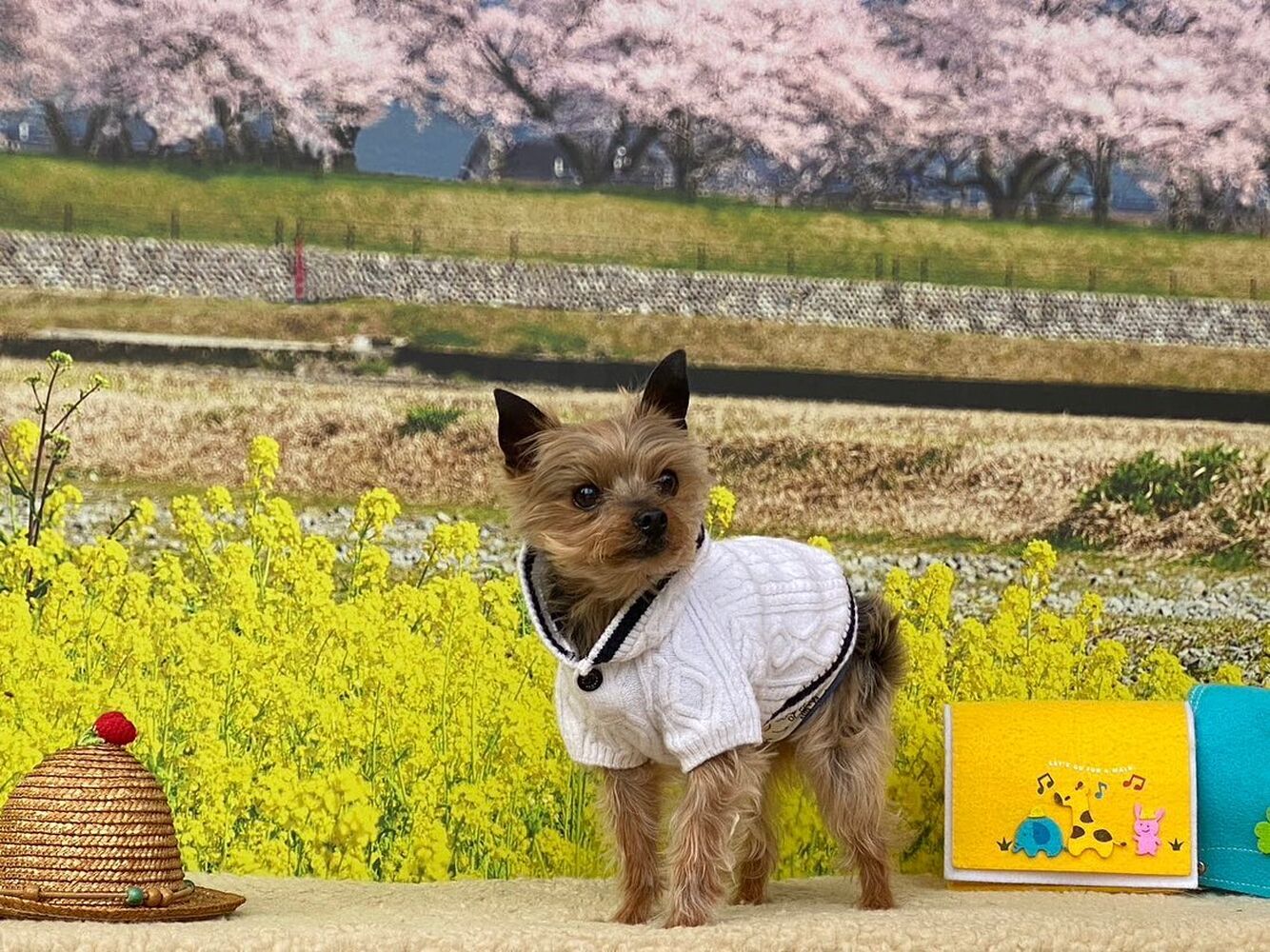 画像10057