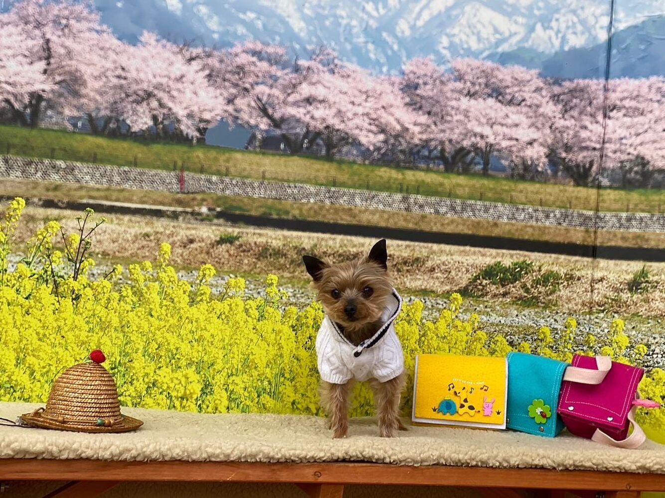 画像10058
