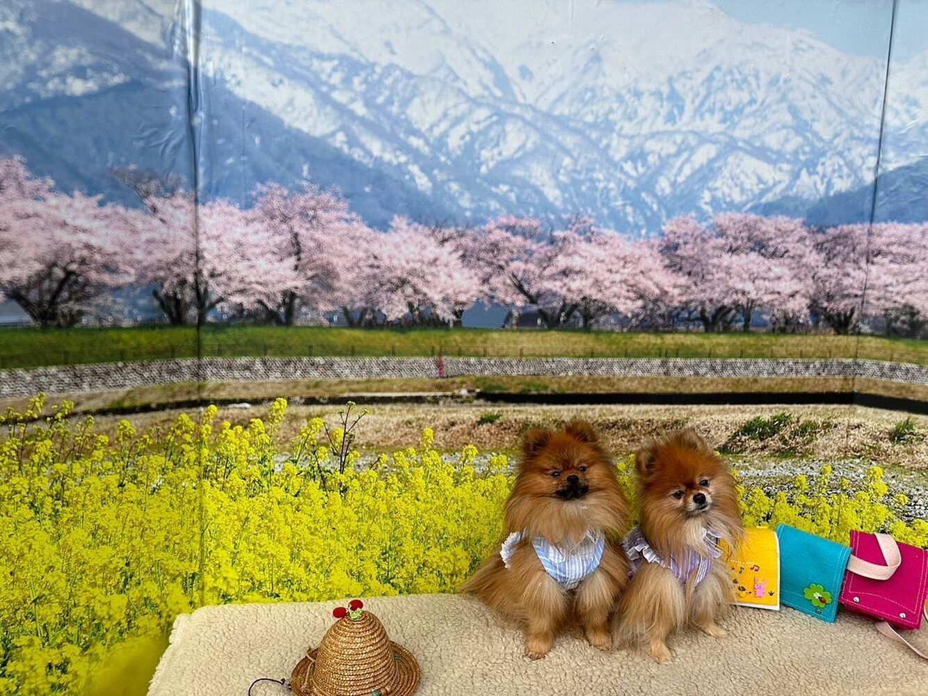 画像10068