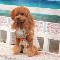画像10092