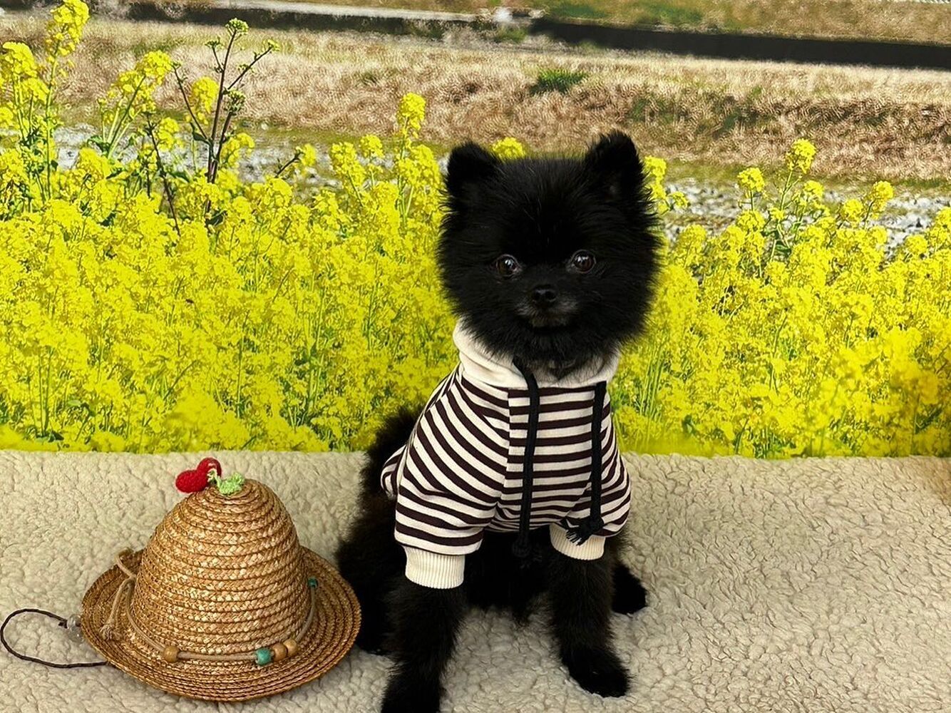 画像10099