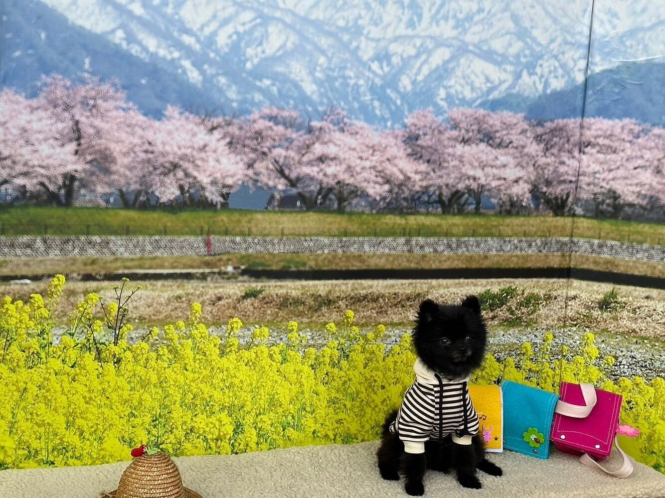 画像10100