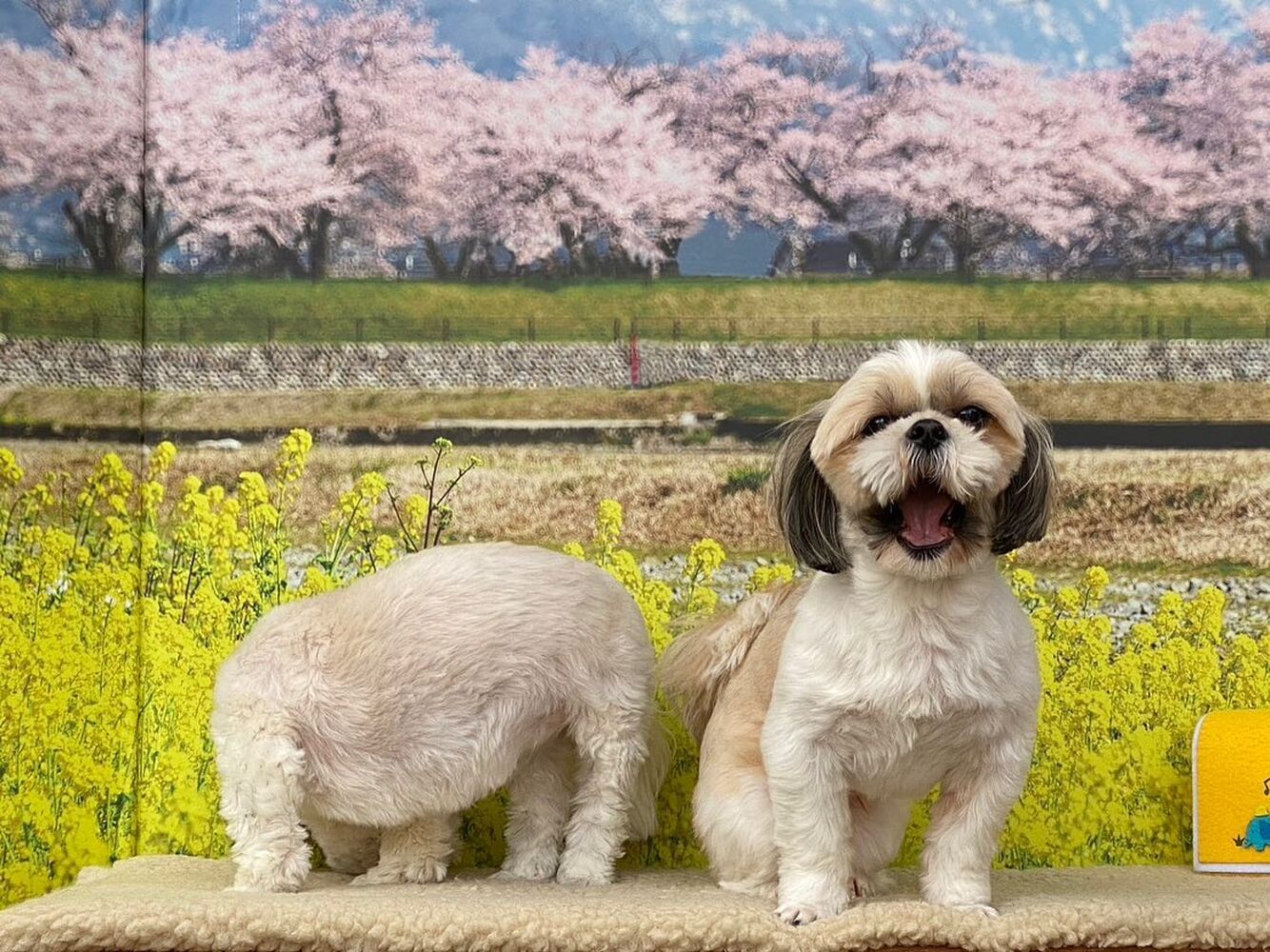 画像10109