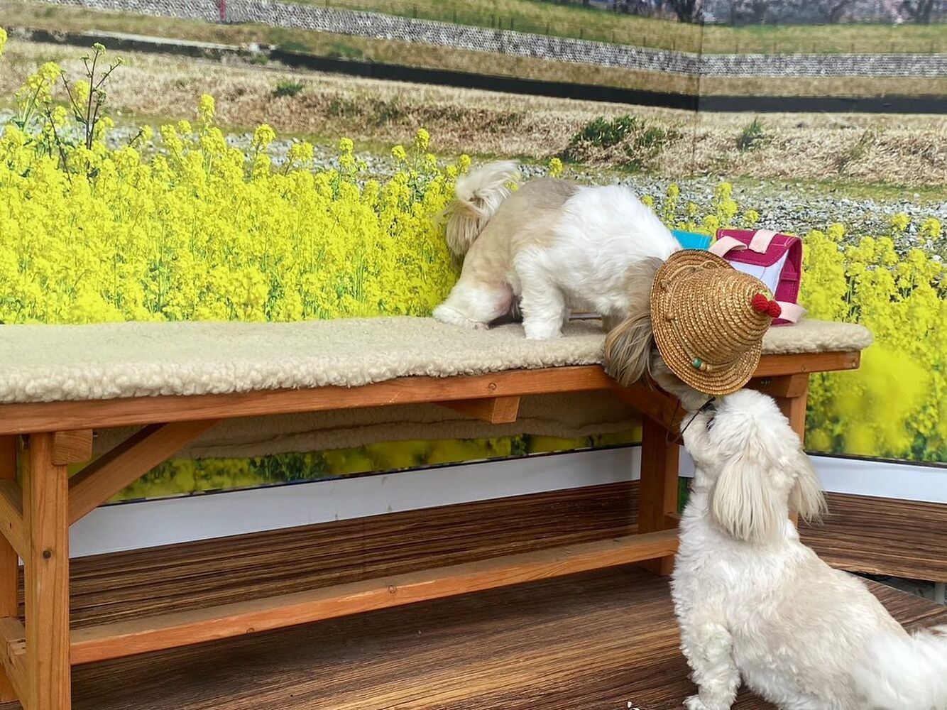 画像10111