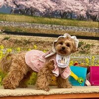 画像10116