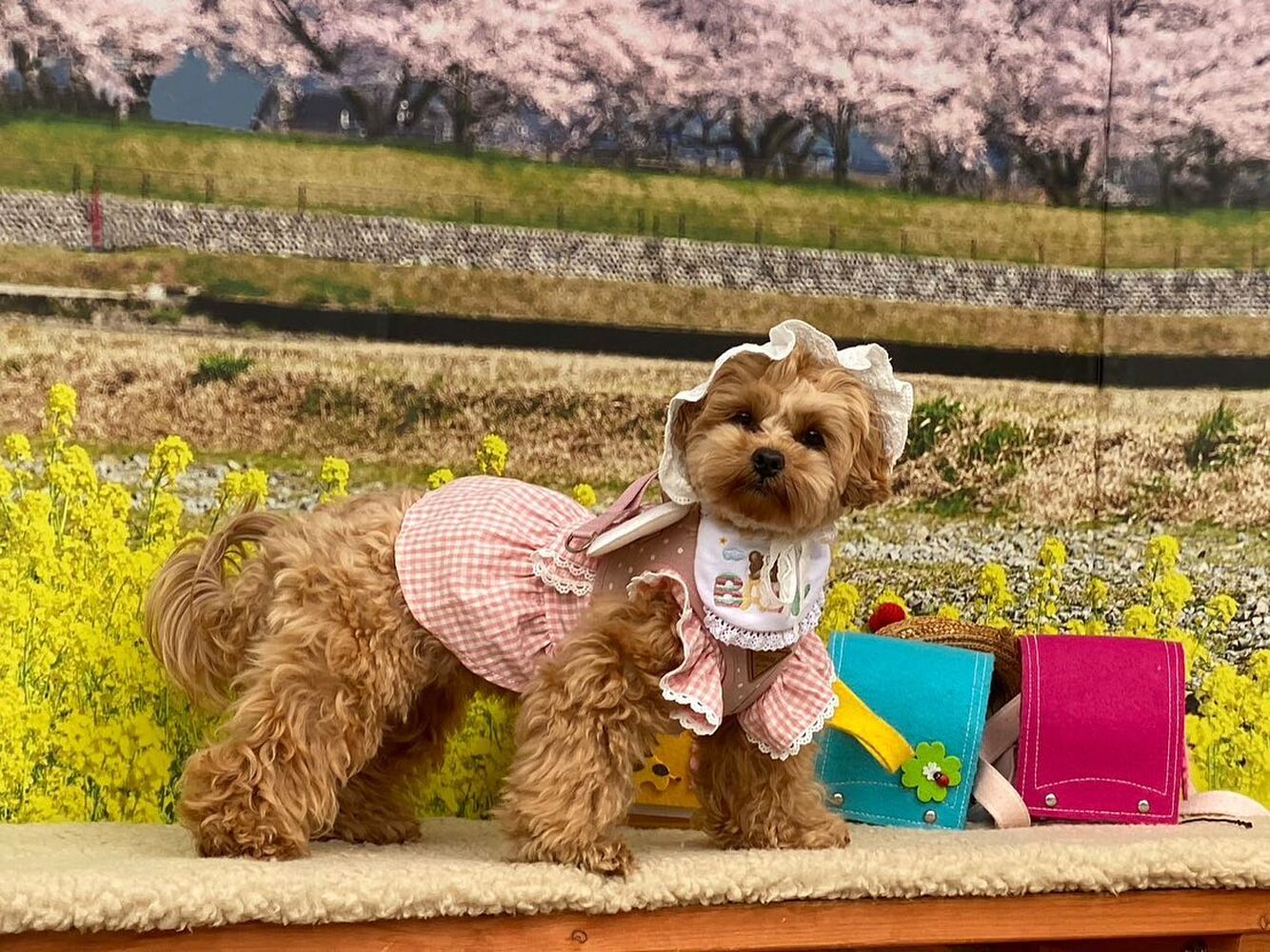画像10116