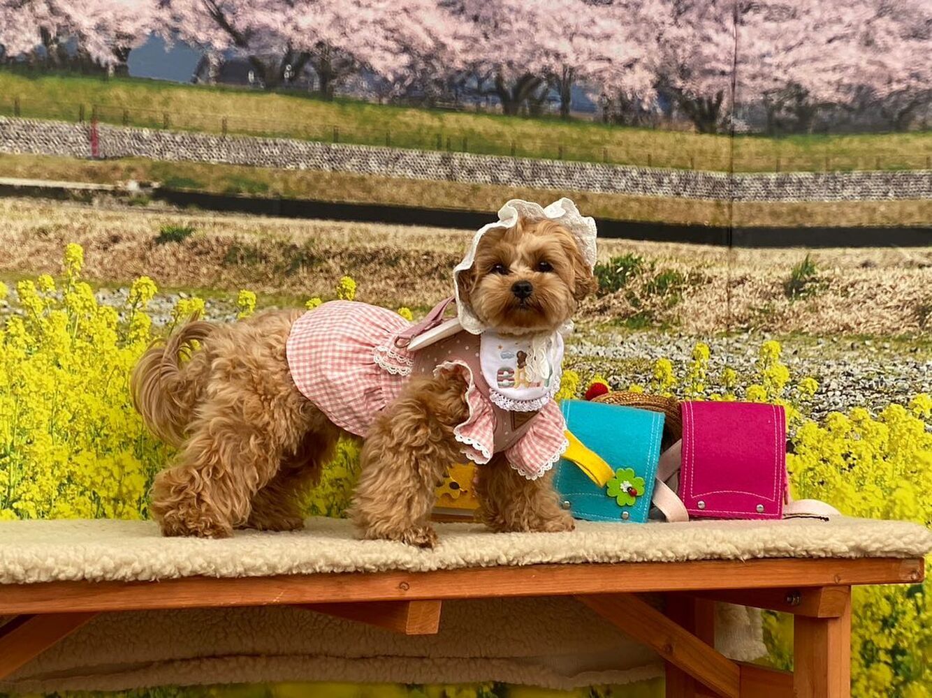 画像10117
