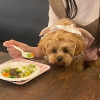 画像10124