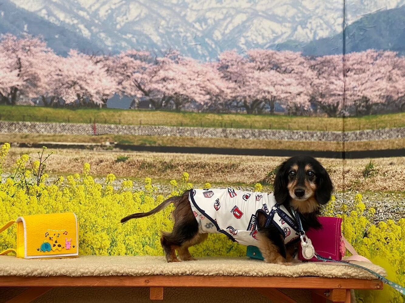 画像10126