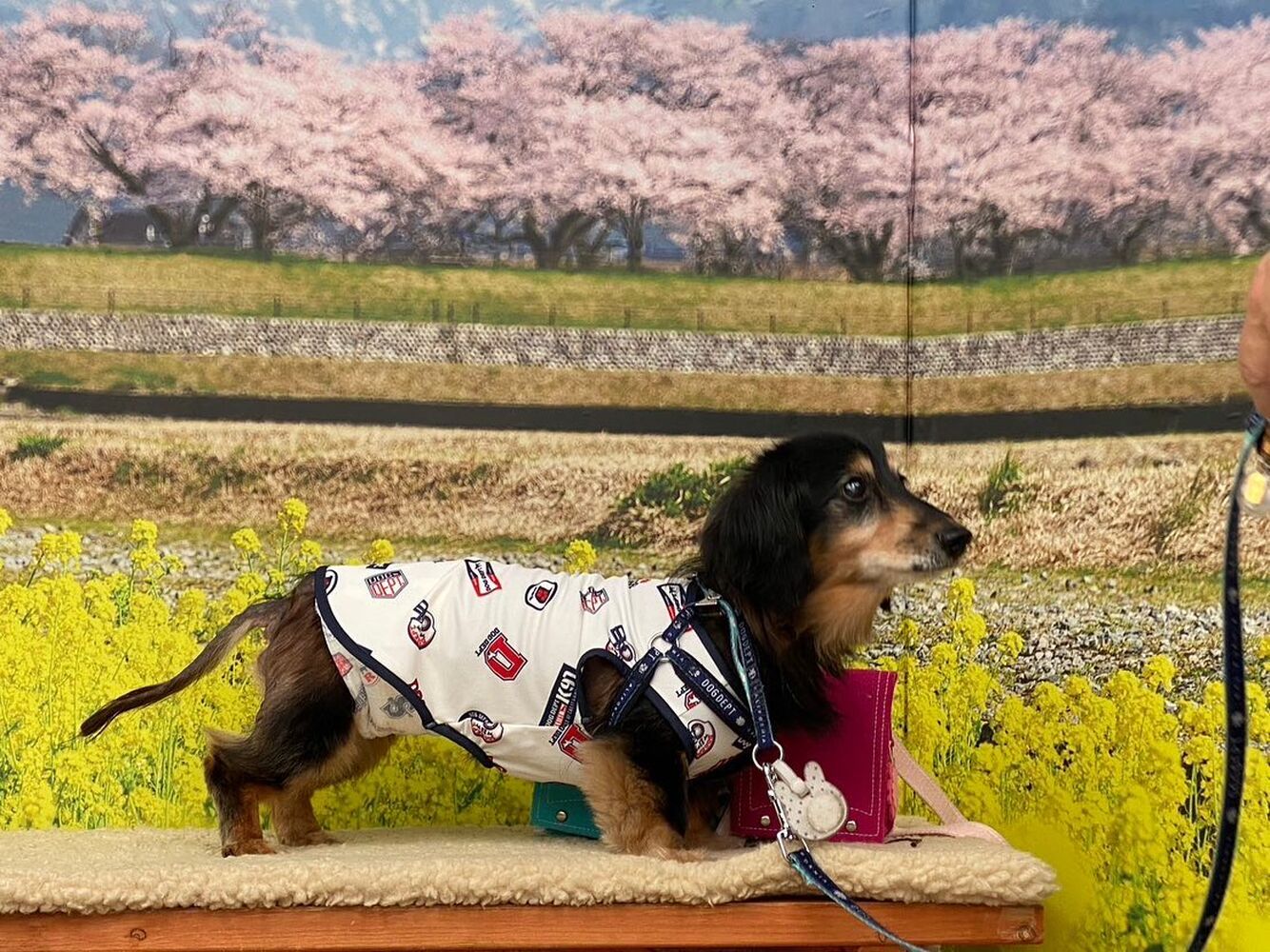 画像10128