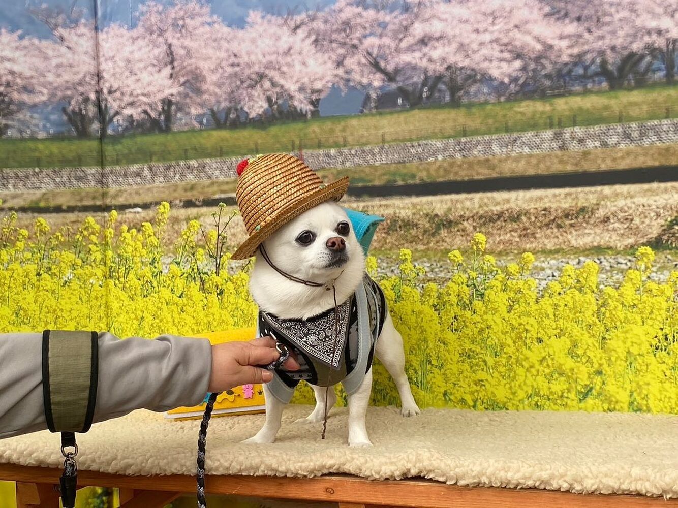 画像10136
