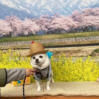 画像10137