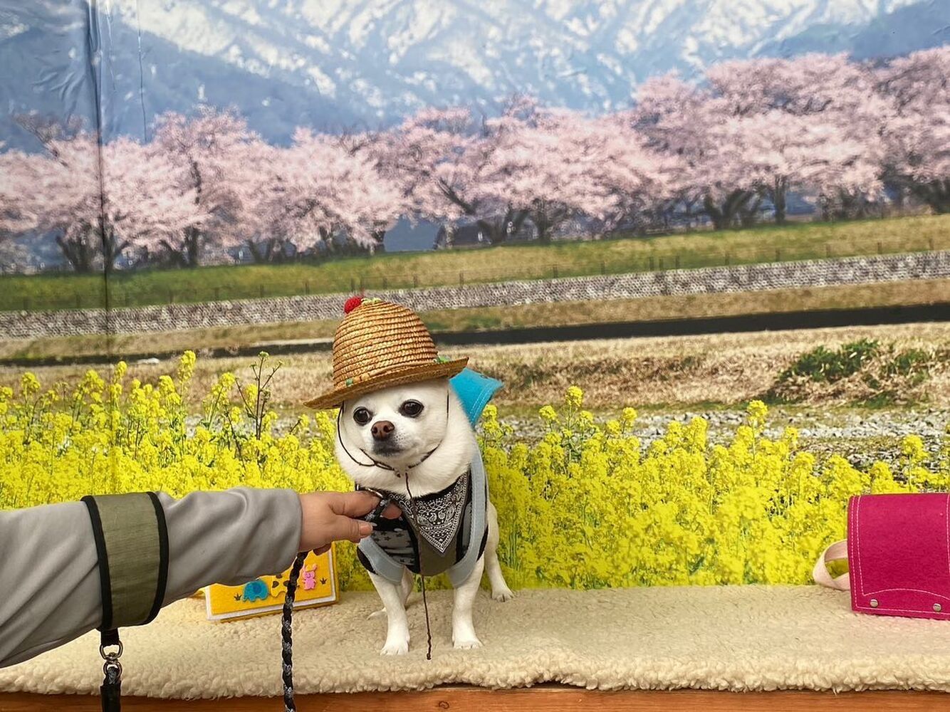 画像10137
