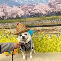 画像10138