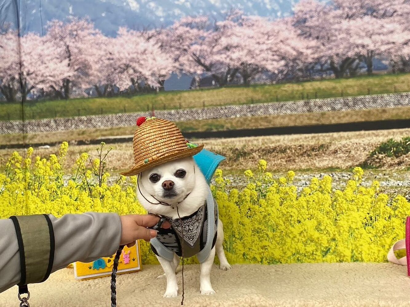 画像10138
