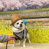 画像10139