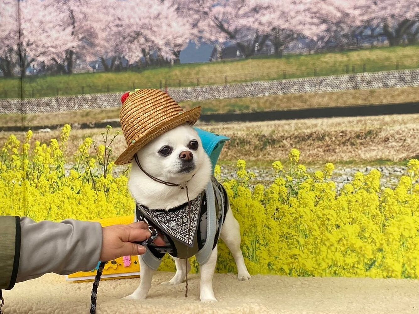 画像10139
