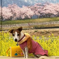 画像10147