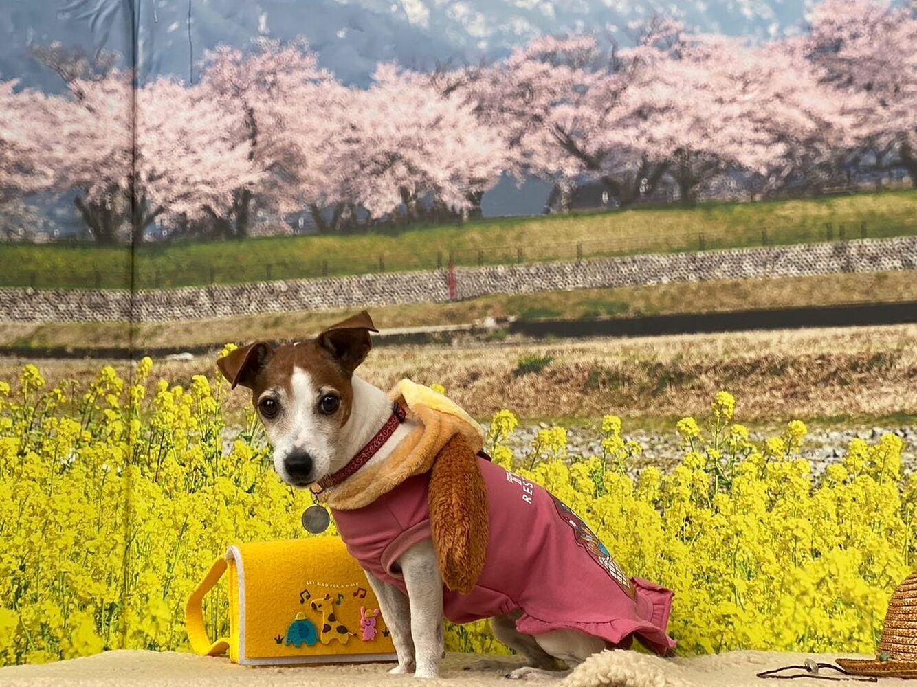 画像10147