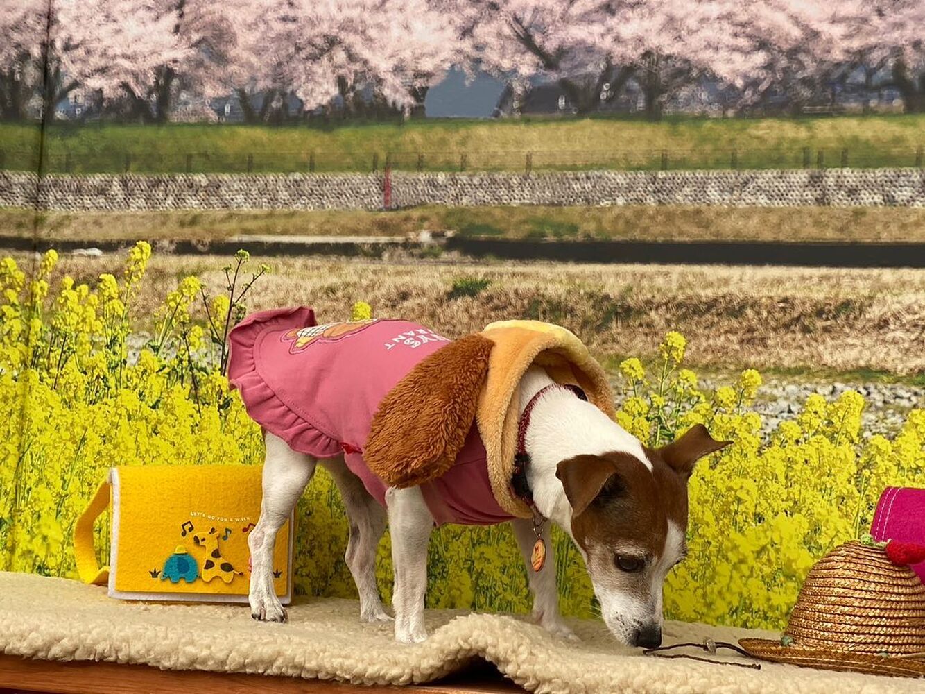 画像10148