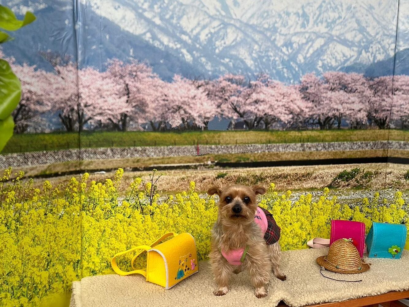画像10169