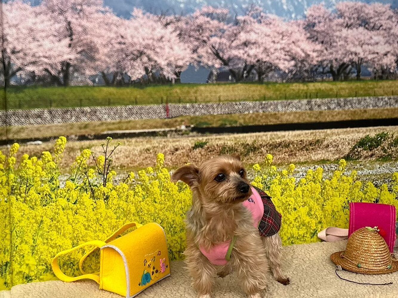 画像10170
