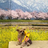 画像10171