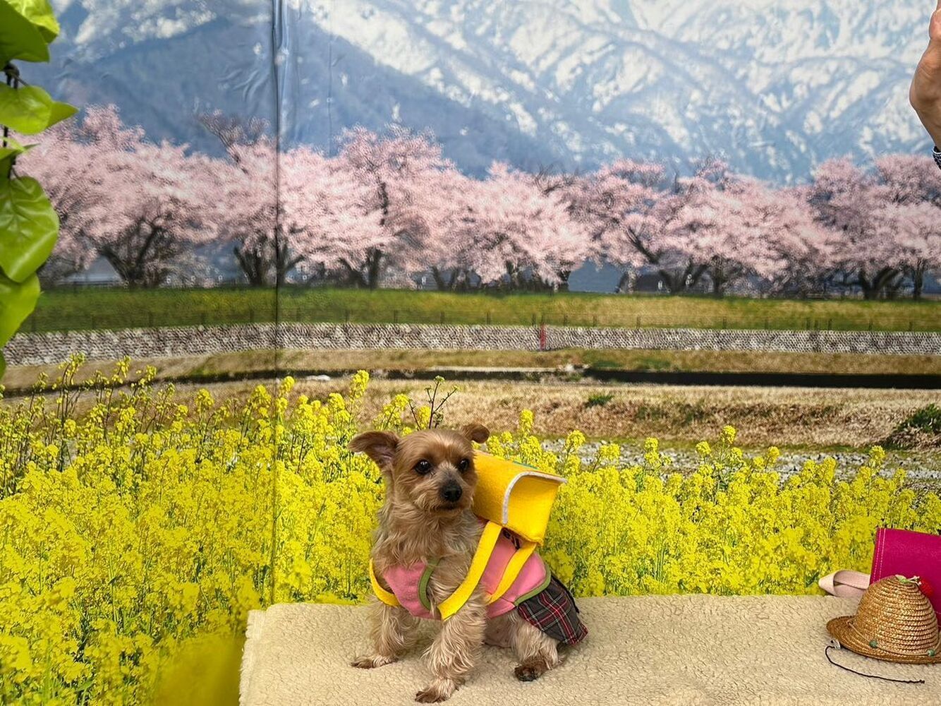 画像10171