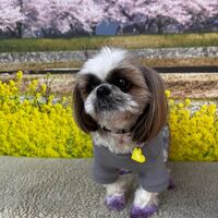 画像10201