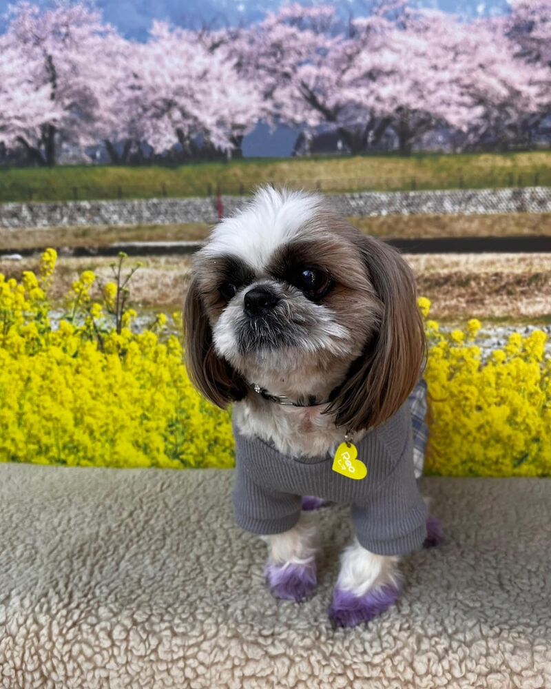 画像10201