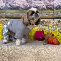 画像10202