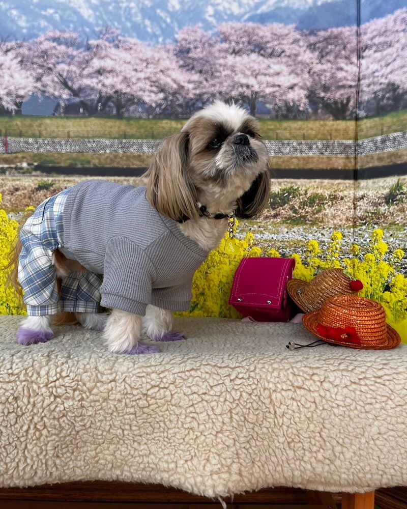 画像10202