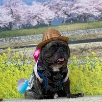 画像10213