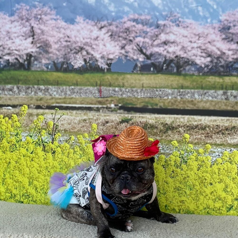 画像10216