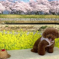 画像10225