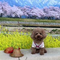 画像10237