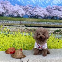 画像10238