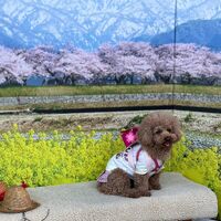 画像10239
