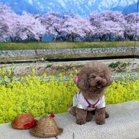 画像10240