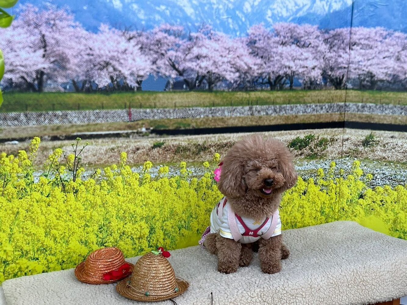 画像10240