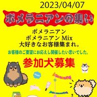画像10256