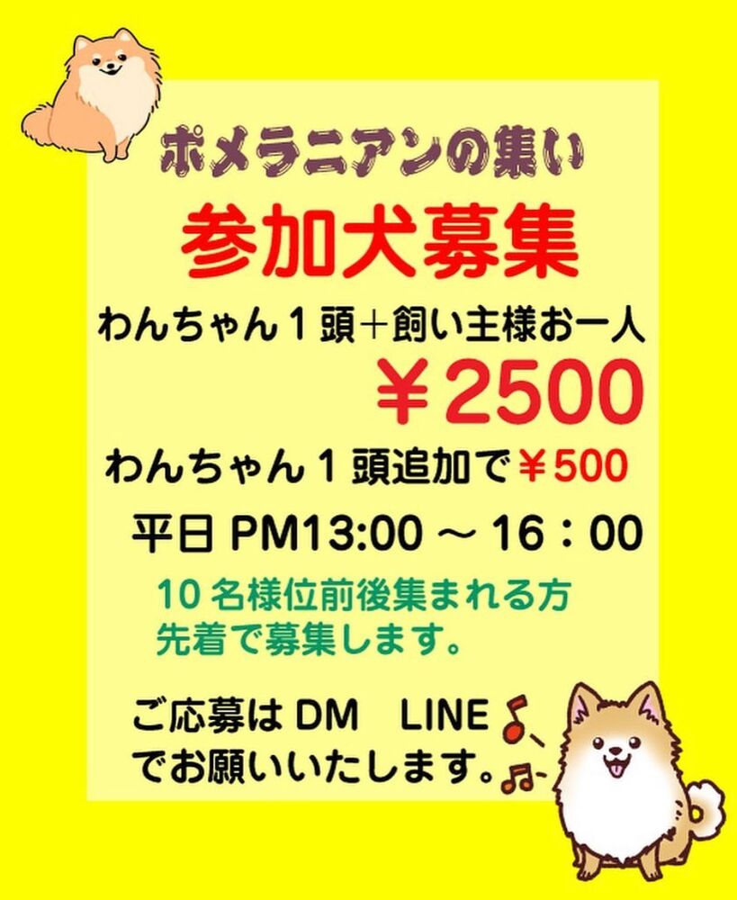 画像10257