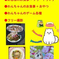 画像10258