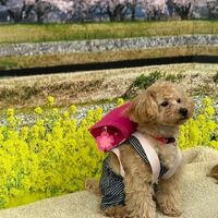 画像10269
