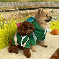 画像10409
