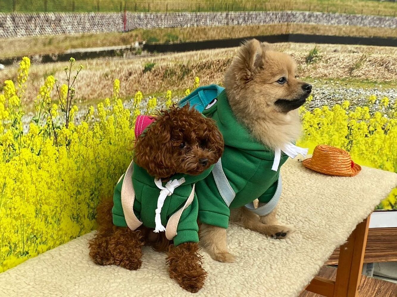 画像10409